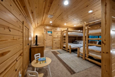 Beautiful Updated Cabin- listing airbnb- 26